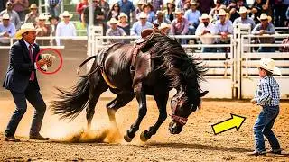 APUESTA DE $50,000: EL CABALLO M&Aacute;S PELIGROSO DERRIB&Oacute; A TODOS&hellip; PERO UN NI&Ntilde;O ENTR&Oacute; Y CAMBI&Oacute; TODO