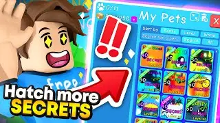 *UPDATED* How To HATCH A Secret Pet In BubbleGum Simulator (Roblox)