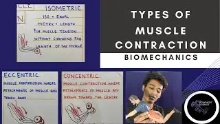 TYPES OF MUSCLE CONTRACTION  (Biomechanics Core concepts)Physiotherapy Tutorials