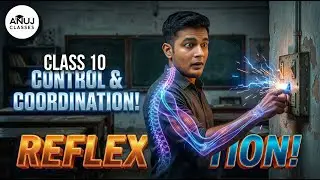 COMPLETE Control and Coordination PYQs in One Video! | Detailed Explanation & Solved Qs ✅
