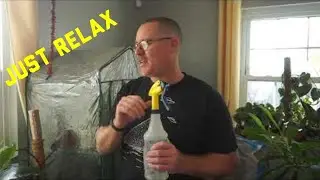 Misting your plants for RELAXATION