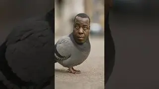 What If Animals Had Human Faces?