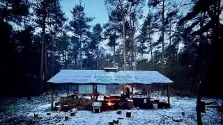 Winter Finally Arrives in the Woods