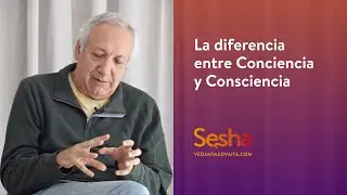 La diferencia entre Conciencia y Consciencia