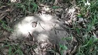 MGA KA TREASURE HUNTER PA DECODE SA SIGN BAKA YAMASHITA TREASURE TO PA HELP PO