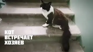 Радостная встреча / Happy meeting
