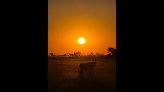 Nineteen Day Botwsana Camping Safari