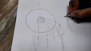 طريقة بسيطة لعمل رسم تخطيطى وأخر تفصيلى يوضح التركيب الداخلى لجذر ذات فلقتين حديث