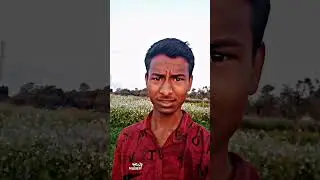 #panap