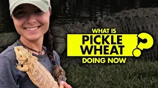 What is Pickle Wheat from &ldquo;Swamp People&rdquo; doing now?