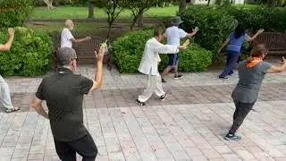 YANG TAI CHI 24 IDEA  (24式太極拳)