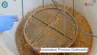 Bio Energy  Technology for Production of 2G Ethanol From Biomass