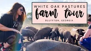 Экскурсия по ферме White Oak Pastures (Блафтон, Джорджия) 2019 | Кухня Кристен