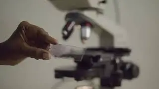 DEPARTMENT OF MICROBIOLOGY-THE AMERICAN COLLEGE