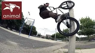 ANIMAL BIKES - KENSINGTON CUTTY (BMX)
