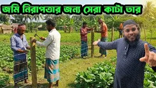 কাটা তারের বেড়া • চুরি-ডাকাতি ঠেকাতে পারফেক্ট সিকিউরিটি নেট!