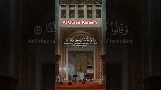 Beautiful voice of telawat Quran | Mr Shahid video maker #quran #shorts #islam #surat #youtubeshorts