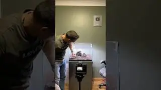 Простая компоновка камней Ивагуми в акваскейпе #georgefarmerstudios #aquascape