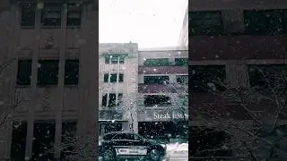 Snowfall bliss !!! Omg!