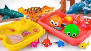Toy asmr 🐟 Light Robo Fishing + Zuru Robo Fish Aquarium Playset ASMR | Satisfying with Unboxing
