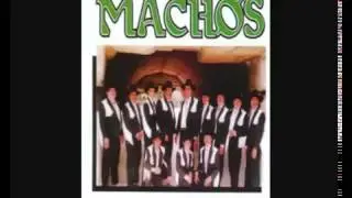 Un cari&ntilde;o como tu  Banda Machos