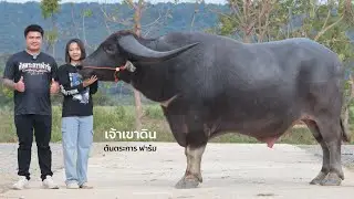 อายุน้อย 100 ล้าน วัยรุ่นสร้างตัว ต้นตระการฟาร์ม คลิปนี้ห้ามพลาด  จังหวัดอุดรธานี