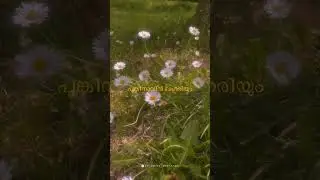 Pookkalum Puzhakalum ✨| #shorts #viralvideo #vintage #aesthetic #statusvideo #malayalam #mollywood