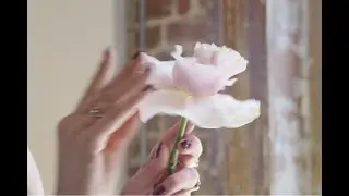 Brand Film for Studio Louka Floral Design Studio