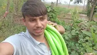 Subah-Subah Khet Me Sichai | Real Village Life #dailyvlog 