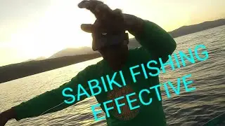 Simple Way to Catch Fish | Bira-Bira Fishing