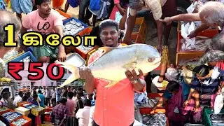 தாம்பரத்தில் காசிமேடு  மீன் மார்க்கெட் 💥 மீன் ஏலம்🔥vera ragam🤯 - VlovetoR