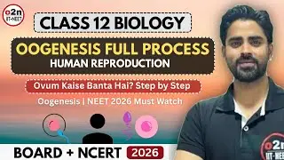 Oogenesis Full Process Step by Step | Ovum Kaise Banta Hai 🤔| NEET 2026 Biology | Human Reproduction