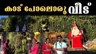 കാട് പോലൊരു വീട്; പച്ചപ്പിലൂടെ ക്രിസ്മസിനെ വരവേറ്റ് കുടുംബം | Christmas |
