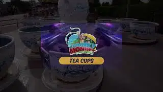 Tea Cups