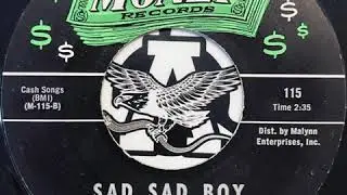 SAD SAD BOY - THE MEADOWLARKS