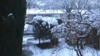 FUCK YOU SNOW!