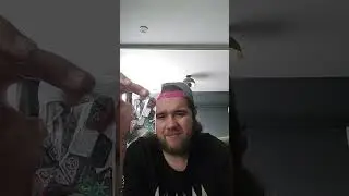 Unboxing Time 31 | Nice Dice | *Dobbelstenenshop.nl* Review
