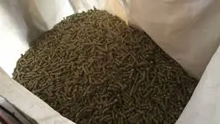 500kg wood pellet line work in Paksitan