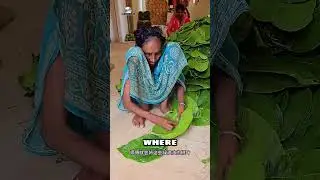 From Forest to Feast! 🌿🍽️ Indian Village Leaf Plates #villagelife #ecofriendly #farming