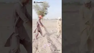 pendu log
