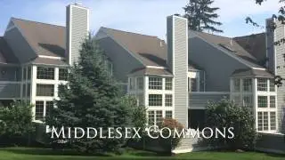 Middlesex Commons - Darien, CT 06820