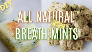 FIX STINKY PET BREATH w/ these 5 easy all-natural breath mints!