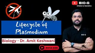 Topic - Life Cycle of Plasmodium || Diseases || Easy Explanation || BIO-G || #plasmodium #biology
