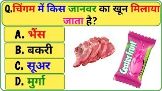 Gk Questions||Gk In Hindi||Gk Questions And Answers||Bs Gk Quiz 
