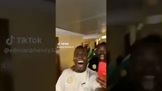Les pas de danse des lions