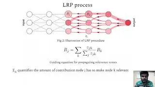 Introduction to Layer-wise Relevance Propagation (LRP)| Explainable AI