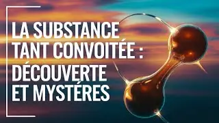 M&eacute;lanine : Science, Sant&eacute; et Identit&eacute; Culturelle D&eacute;crypt&eacute;es