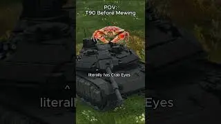 T90 Before and After Mewing