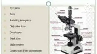 Applications of Darkfield Microscope