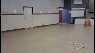 Balanced Canine Training Treibball Small Field Overview